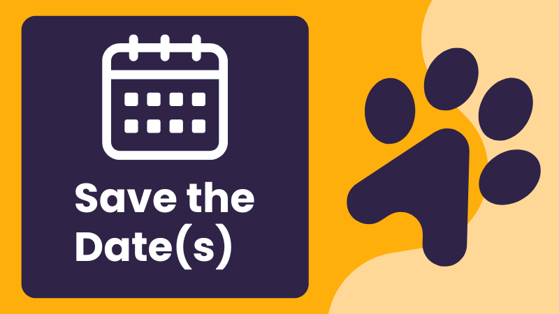 Join us for our live drop-in sessions on client reports and platform-to-platform switching.